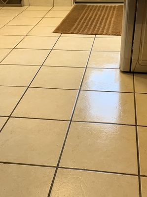 Floor Cleaning Services in Grand Rapids, MI (2)